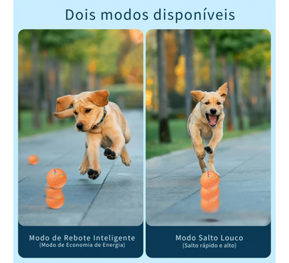 Bola Inteligente Eletrônica para pets com Luzes RGB