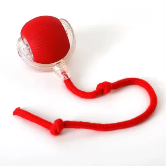 Bola Interativa Inteligente InovaPet – Diversão e Treinamento para Pets